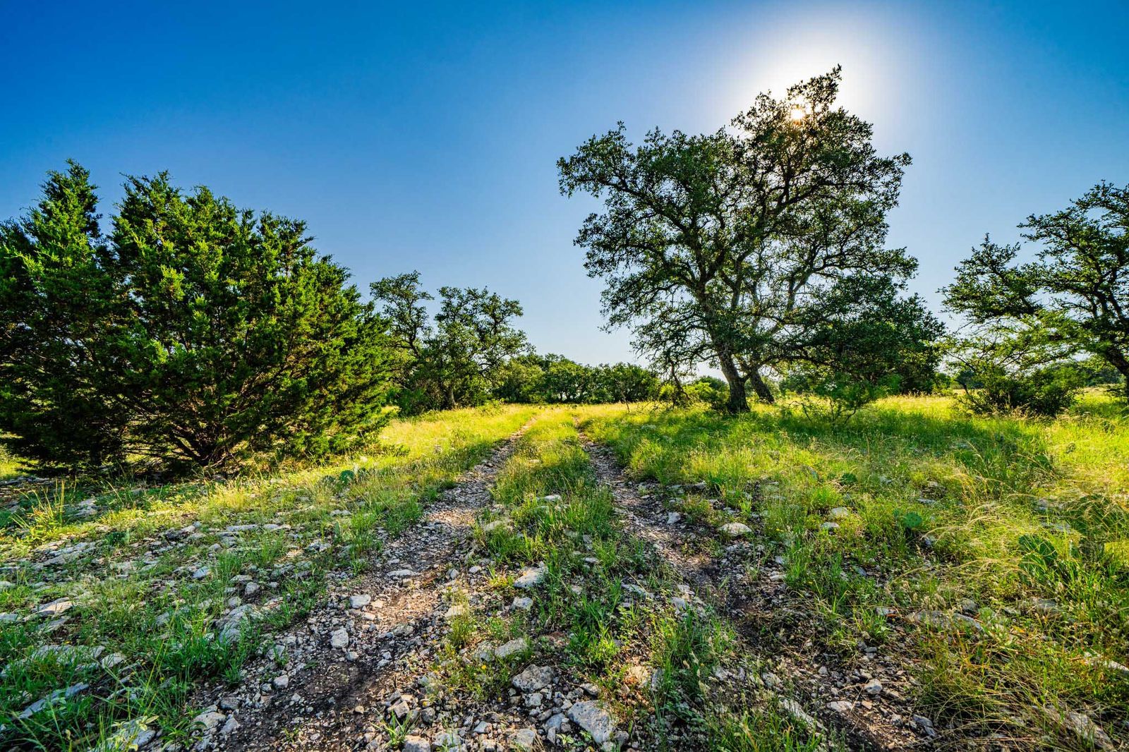 Menard County Twin Oaks Ranch S of Menard Texas Ranches For Sale